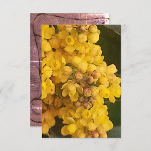 招待状 (正面/裏面)