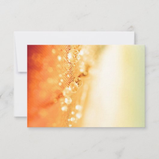 招待状&ひな形RSVPカード 出欠カード (正面)