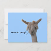 招待状-パーティーする 招待状 (正面)