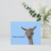 招待状-パーティーする 招待状 (スタンド正面)