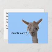 招待状-パーティーする 招待状 (正面/裏面)