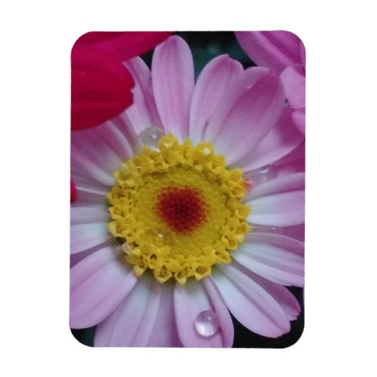 招待状 マグネット (縦)