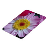 招待状 マグネット (左側)