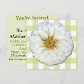 招待状 – 白《植物》百日草 (正面/裏面)