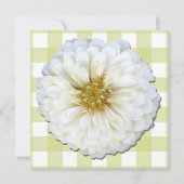 招待状 – 白《植物》百日草 (正面)