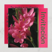 招待状 - 誕生日パーティー - ローザ (正面/裏面)