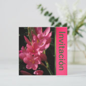 招待状 - 誕生日パーティー - ローザ (スタンド正面)