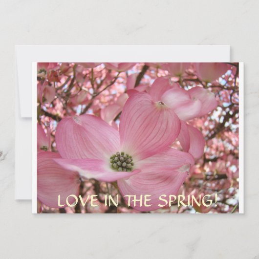 招待状Dogwoodの花の発表カード 招待状 (正面)