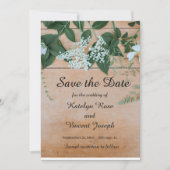 招待 招待状 (正面)