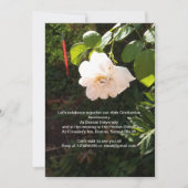 招待 招待状 (正面)