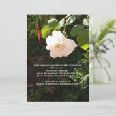 招待 招待状 (スタンド正面)