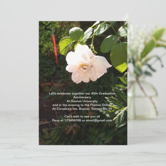 招待 招待状 (スタンド正面)