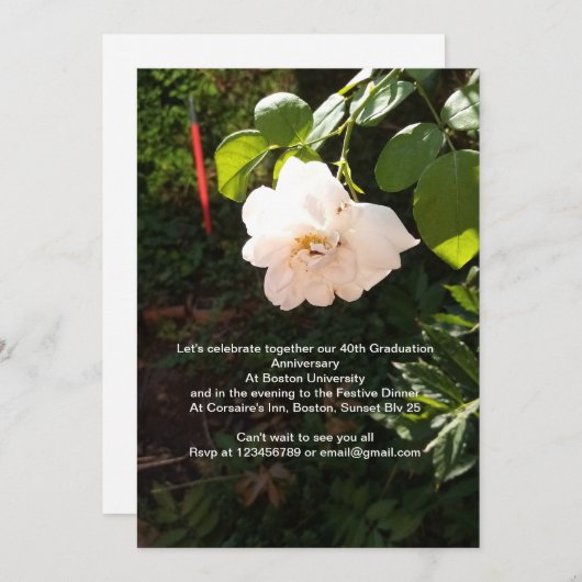 招待 招待状 (正面/裏面)