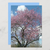 招空白の待、さくらんぼ開花ツリー 招待状 (正面/裏面)