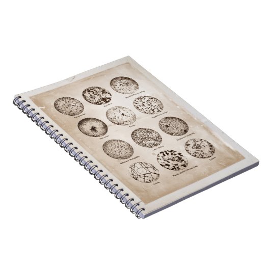 拡大された細菌のヴィンテージの薬の図表 ノートブック (右側)