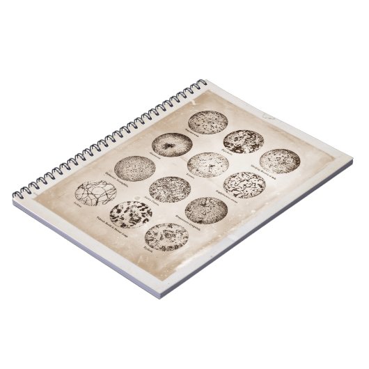 拡大された細菌のヴィンテージの薬の図表 ノートブック (左側)