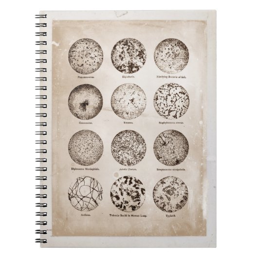 拡大された細菌のヴィンテージの薬の図表 ノートブック (正面)