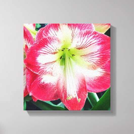 拡大キャンバス印刷 キャンバスプリント (正面)