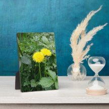 拡大キャンバス印刷