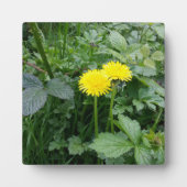 拡大キャンバス印刷 フォトプラーク (正面)