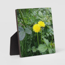 拡大キャンバス印刷