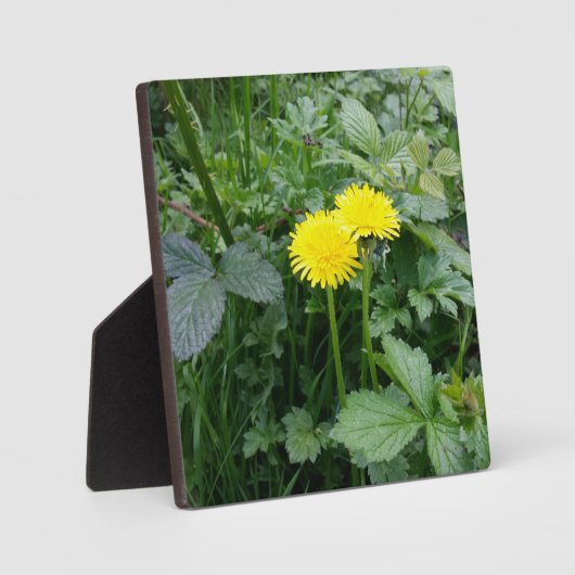 拡大キャンバス印刷 フォトプラーク (正面)