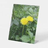 拡大キャンバス印刷 台座サイン (正面)