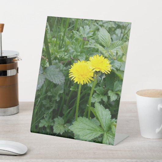 拡大キャンバス印刷 台座サイン (インサイチュ)