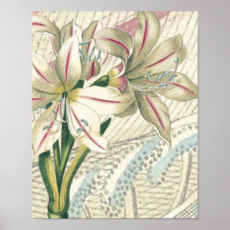 拡大百合 ポスター