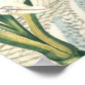 拡大百合 ポスター (角)