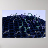 拡大細胞膜 ポスター (正面)