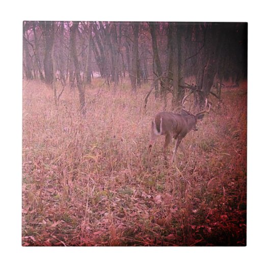 拡張された美しいバック タイル (正面)