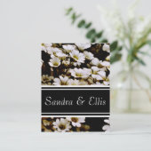 拡張ダシエレガントー 招待状 (スタンド正面)