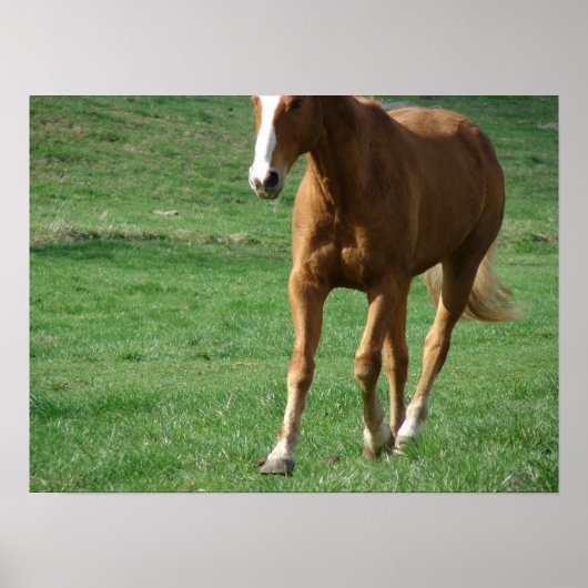 拡張トロット ポスター (正面)