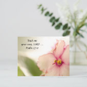 拡散スミレ ポストカード (スタンド正面)