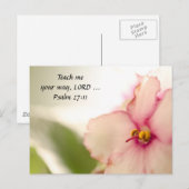 拡散スミレ ポストカード (正面/裏面)