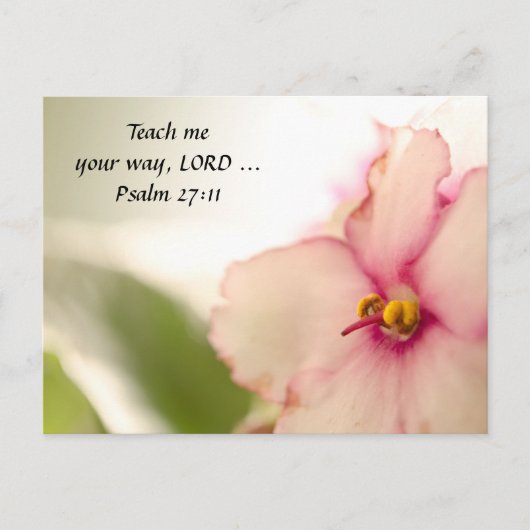 拡散スミレ ポストカード (正面)