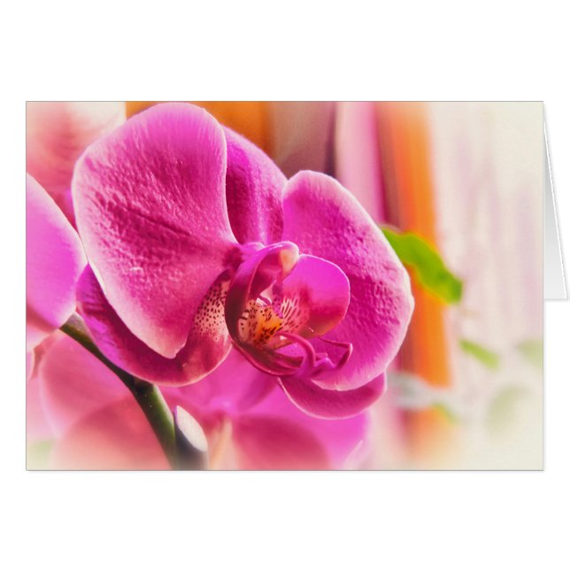 拡散ラン (正面横)