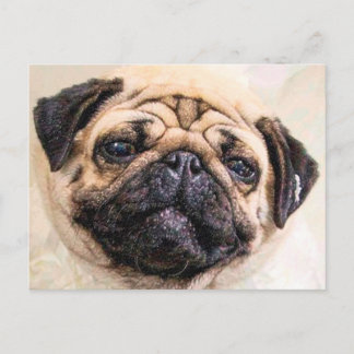 拭いた ポストカード