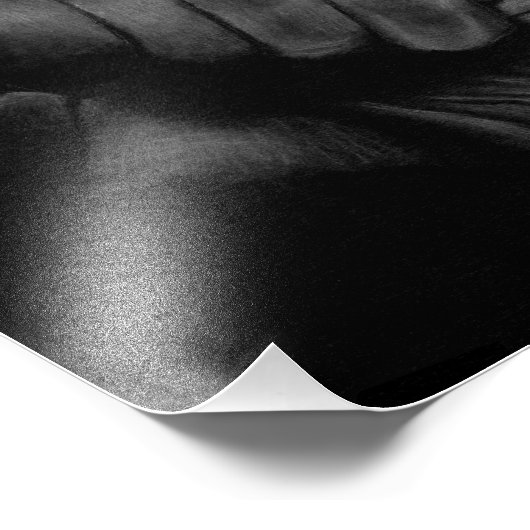 拳 フォトプリント            (角)