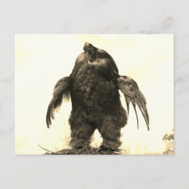 持ち上げてもいい？- ポストカード