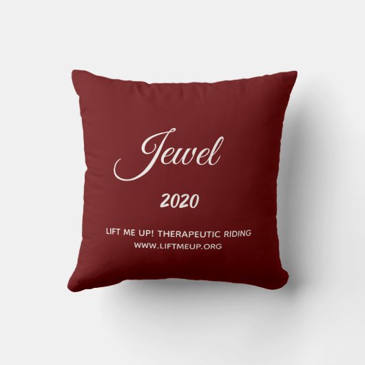 持ち上げて！2020ホリデー装飾用クッション – ジュエル クッション (裏面)