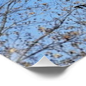 持ち上げる ポスター (コーナー)