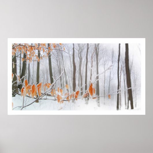 持ち続け，ポスター ポスター (正面)