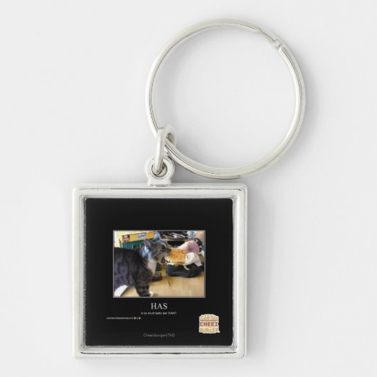 持っています キーホルダー (正面)