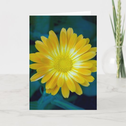 持続するあなたの友人に花を送って下さい カード (正面)