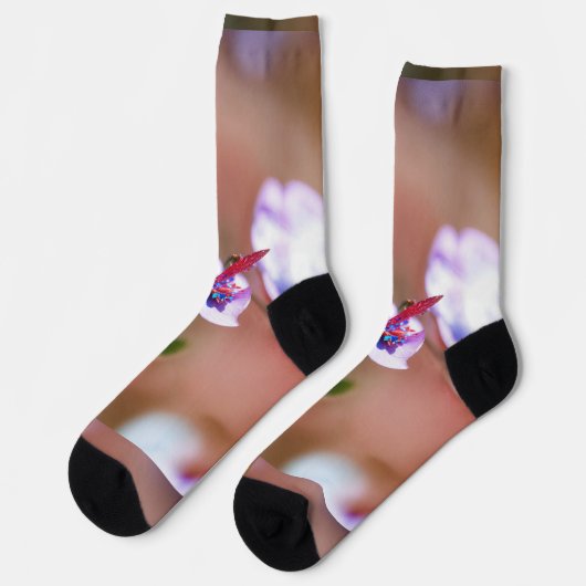 持続可能な ソックス (左)