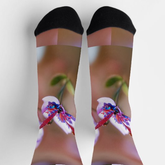 持続可能な ソックス (上部)