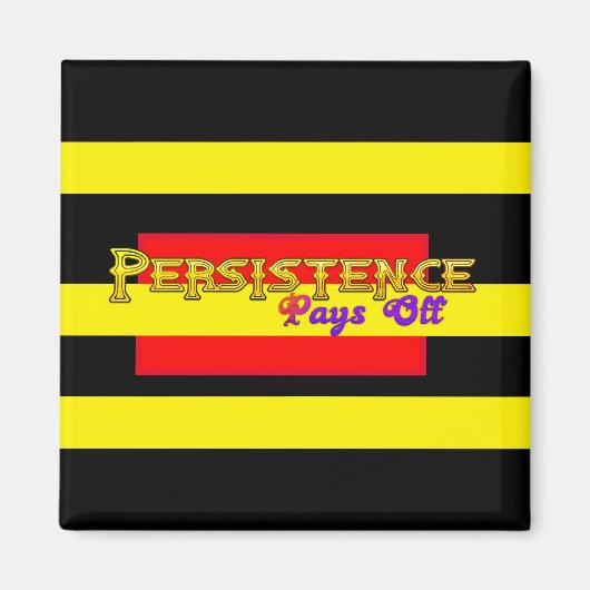 持続性ペイオフ磁石 マグネット (正面)