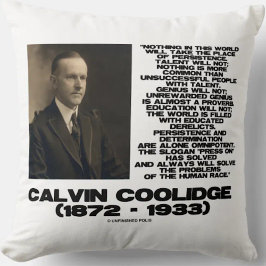 持続性決定の全能性冷却 クッション